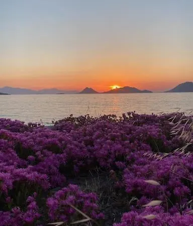 Bodrum Bodrum